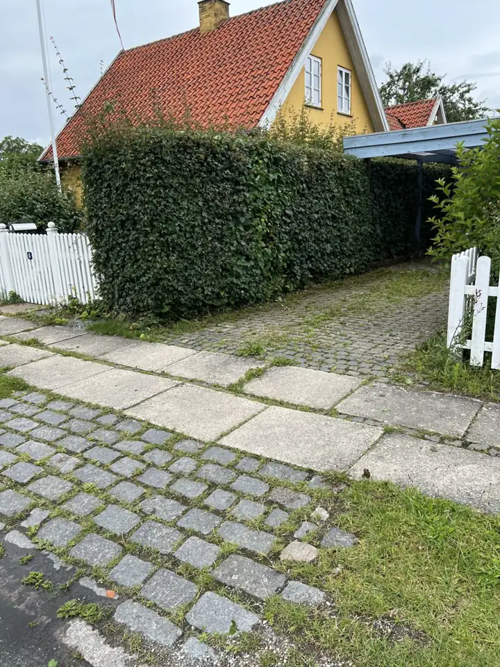 Klippet hæk og hvidt stakit ved en flisegang